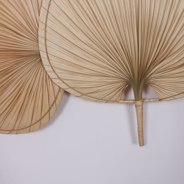 Doğal Palmiye Duvar Ve Yatak Başı Dekoru 155x115 cm