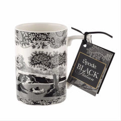 SPODE - Black Italian Kupa