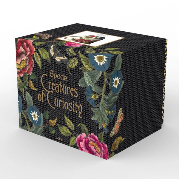 Spode Creatures of Curiosity Black Kupa